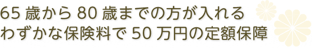 受け取れる保険金額が常に定額。葬儀の費用負担を安心サポート。